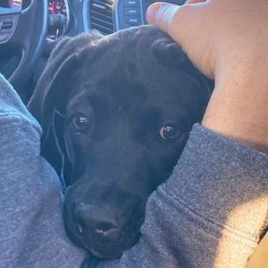 Meet your Posher, Drew